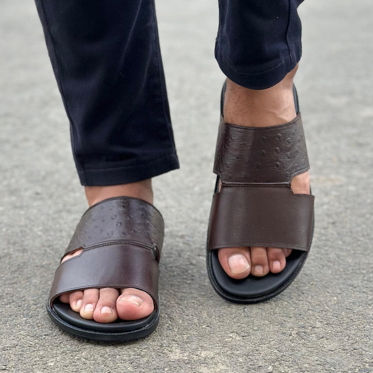 Bristo Brown - 2622