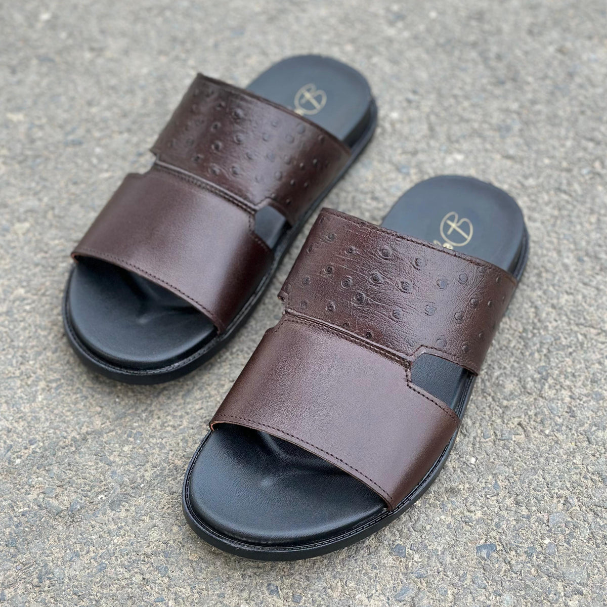 Bristo Brown - 2622