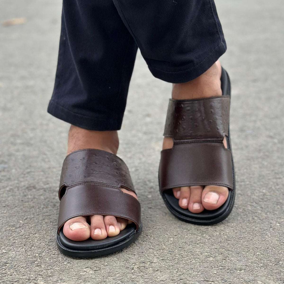 Bristo Brown - 2622