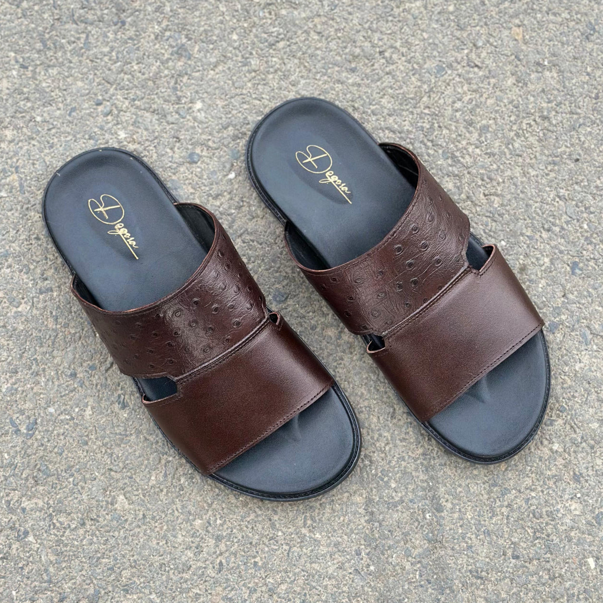 Bristo Brown - 2622