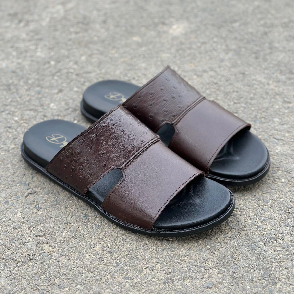 Bristo Brown - 2622